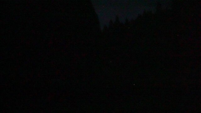 Tottori,Japan - July 1, 2024: Fireflies or Luciola cruciatas or Genji botaru flying over Obara river at Fukumaki Hotaru no Kuni, Tottori, Japan, 
