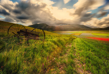 Ranchinatore Castelluccio
