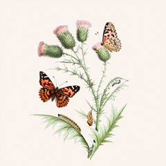 Lovely illustration of butterflies in an enchanting botanical scene.