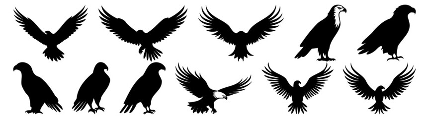 Eagle silhouette set vector design big pack of illustration and icon