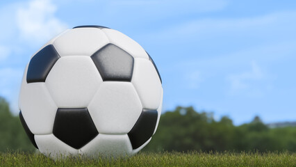 Fototapeta premium black and white soccer ball is still on the playing field, health and sports theme, 3d illustration