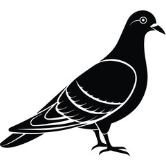 Pigeon Silhouette vector illustration black and white 