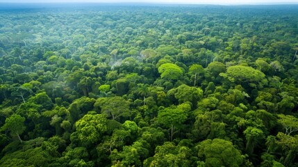 Fototapeta premium Aerial photography of the forest, showing the extent and density of the vegetation generative ai