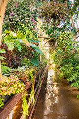 Garden in greengarden at park 