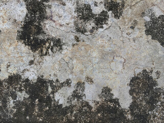grunge cement wall background