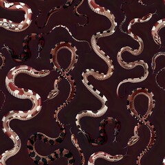 Fototapeta premium Detailed Cobra, Viper, and Python Illustration