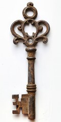 Ornate Antique Skeleton Key with Flourishes