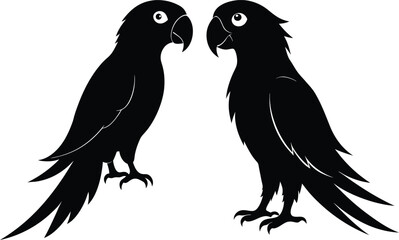 Parrot vector silhouette