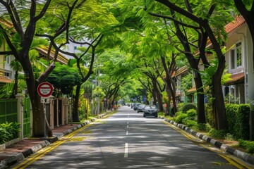 Obraz premium Charming Tree-Lined Street with Colorful Houses and Lush Greenery