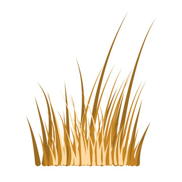 recommend clip art: Dead Grass Illustration Vector 