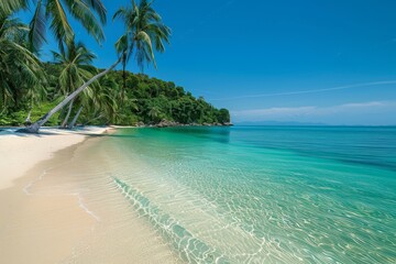 Fototapeta premium Tropical Paradise: Pristine Beach with Palm Trees and Turquoise Water