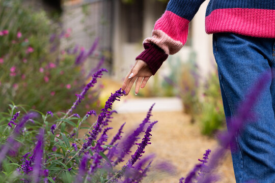 Touching purple flowers, woman in colorful sweater enjoying garden walk, copy space