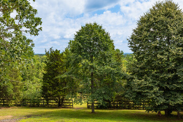 yard farm land
