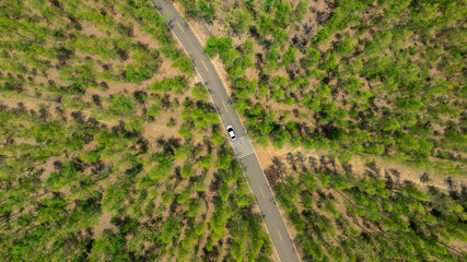 Aerial view of dark green forest road and white electric car Natural landscape and elevated roads Adventure travel and transportation and environmental protection concept