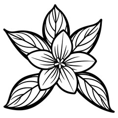 black and white flower