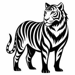 tiger illustration