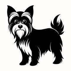 black and white dog