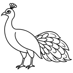 illustration of a peacock vector art illustration