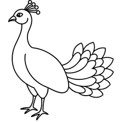 illustration of a peacock vector art illustration