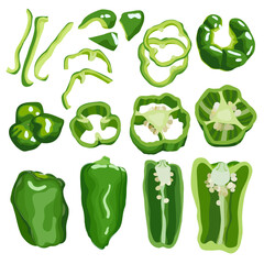 Set of green bell pepper, sweet peppers, Japanese bell pepper, paprika,  pīman, piment, poivron, pimient, capsicum, hand drawn vector illustration isolated