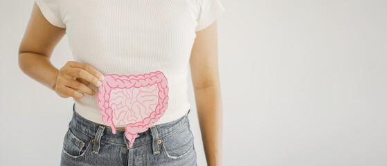 Woman hands holding intestine shape, healthy bowel digestion, leaky gut, probiotic and prebiotic...