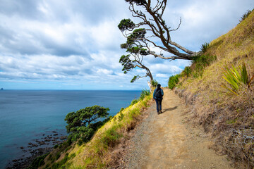 Mangawhai Cliff Walk - New Zealand