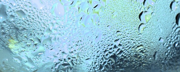 Water drops on a glass surface lit by light - theme photosynthesis, evaporation , biology, nature , distillation distilled water - primitive organisms