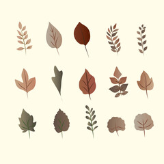 set of dried leaves collection set vector