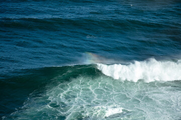 Bouddi coastal walk, NSW National Parks
