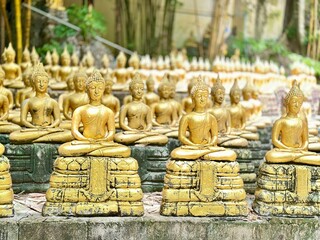 Obraz premium 1,000 buddha statues in a row