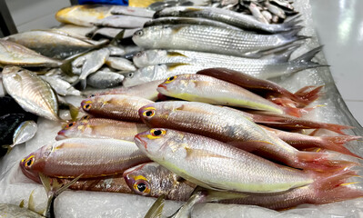 pink perch fish displayed on ice, with distinct pink and silver coloration. Their yellow eyes and smooth scales indicate freshness. Other fish varieties are neatly arranged alongside them