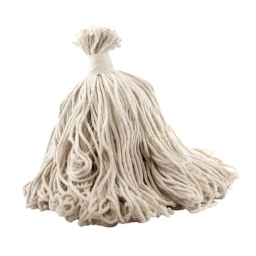 recommend clip art: Mop isolate on transparent png.
                    