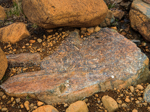 The Tablelands, a vast plateau in Gros Morne National Park, western Newfoundland, showcase an excellent example of serpentinized peridotite rock. 