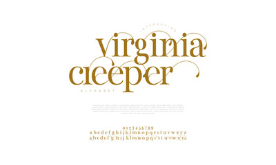 Virginia premium luxury elegant alphabet letters and numbers. Vintage wedding typography classic serif font decorative vintage retro. creative vector illustration