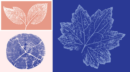 Decorative leaf prints and wood block prints. Monotone pink and blue botanical impression tree rings print.