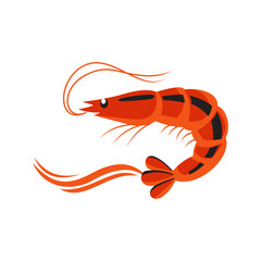 Make a Professional Shrimp Vector Art Image