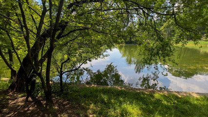 An abandoned old pond in the park on a hot summer afternoon.