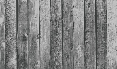 Old vintage wood boards on a fence or wall with contrast and rough texture. Black and white reclaimed repurposed wood.