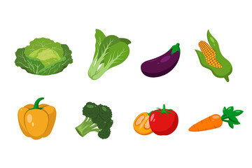 Set of different vegetables. Collection of healthy vegan and vegetarian food. Natural organic products.