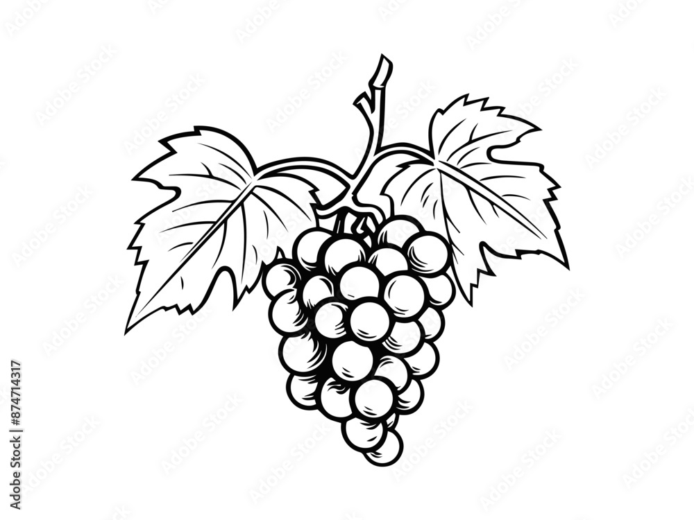 Wall mural line art of grapes