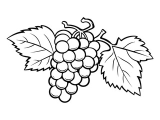 line art of grapes