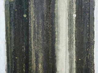 Fototapeta premium closeup of a cement wall covered with moss.