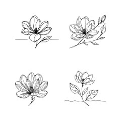 vector set of magnolia flower - line drawing sketch