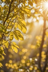 fresh green leaves in summer and bokeh background
