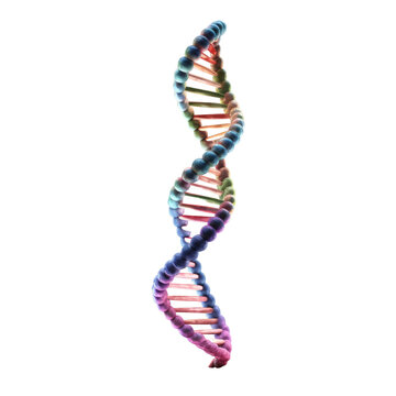 recommend clip art: DNA helix, dna strand isolate on transparent png.
                    