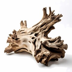 Driftwood on white background, AI Generated