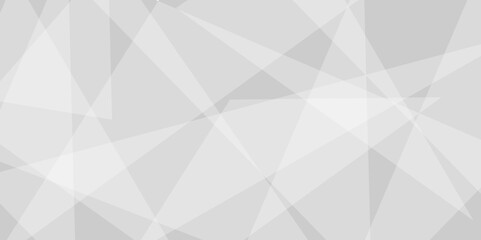 Fototapeta premium White and grey triangle lines and technology modern background. Abstract geometric smooth triangle shape with soft shadow background, template and banner design. Vector illustration.