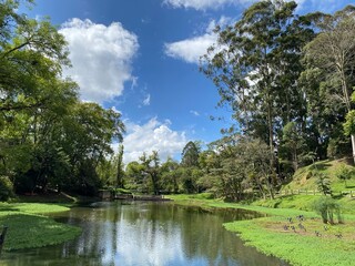 Beautiful landscape lake with green grass and trees 