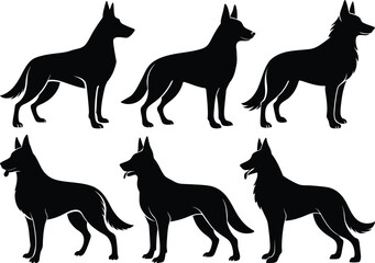 Group of german shepherd various poses silhouettes collection on white background