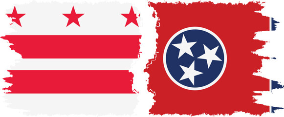 Tennessee and District of Columbia USA - Washington, D.C. grunge brush flags connection vector